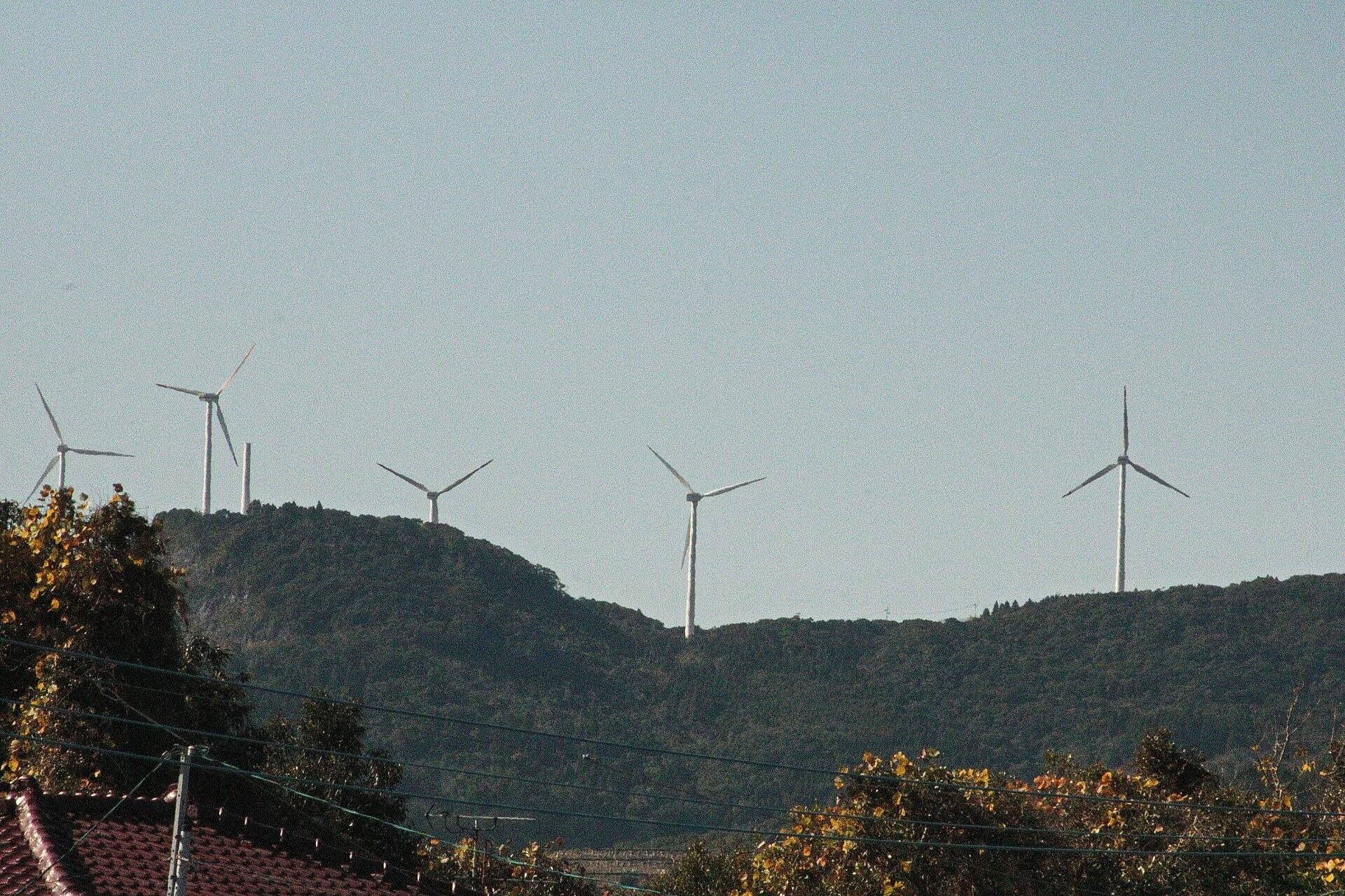 東の枕崎市側から見た、番屋風力発電所の風車群