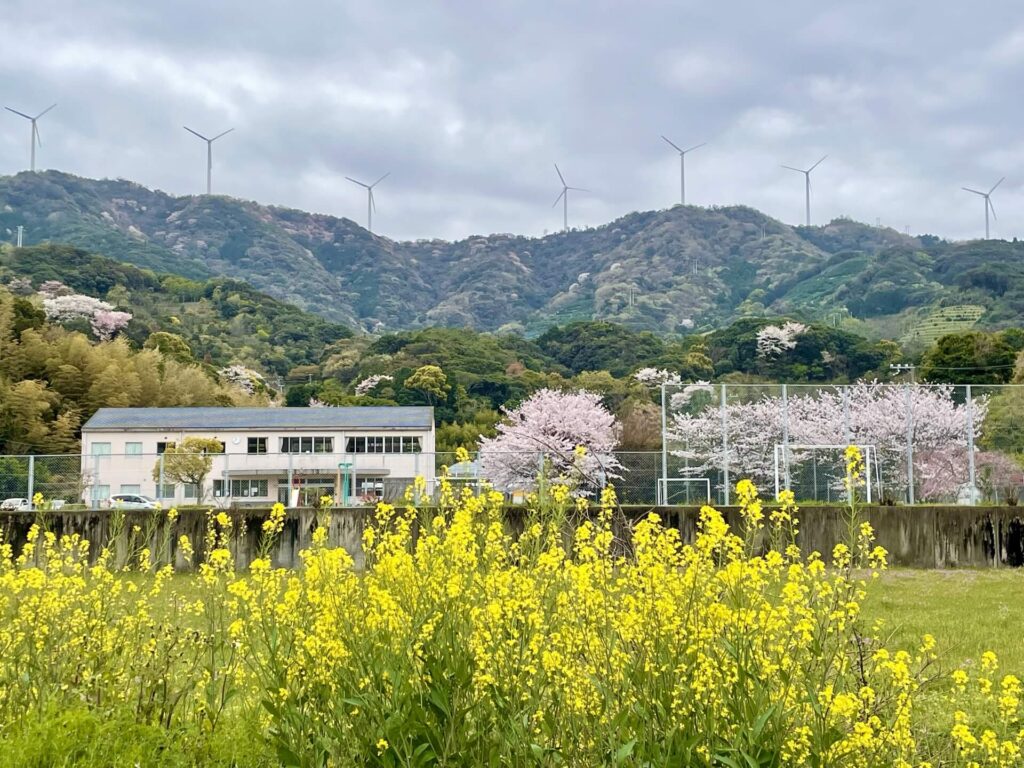 桜と、広川明神山風力発電所の風車群