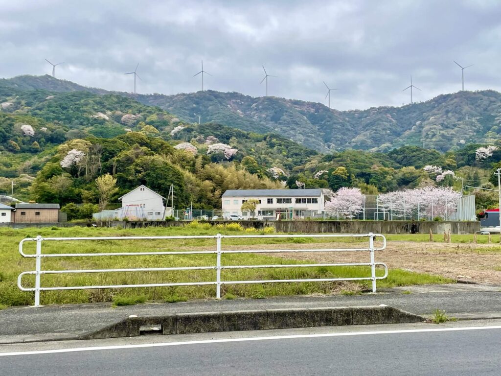 桜と、広川明神山風力発電所の風車群