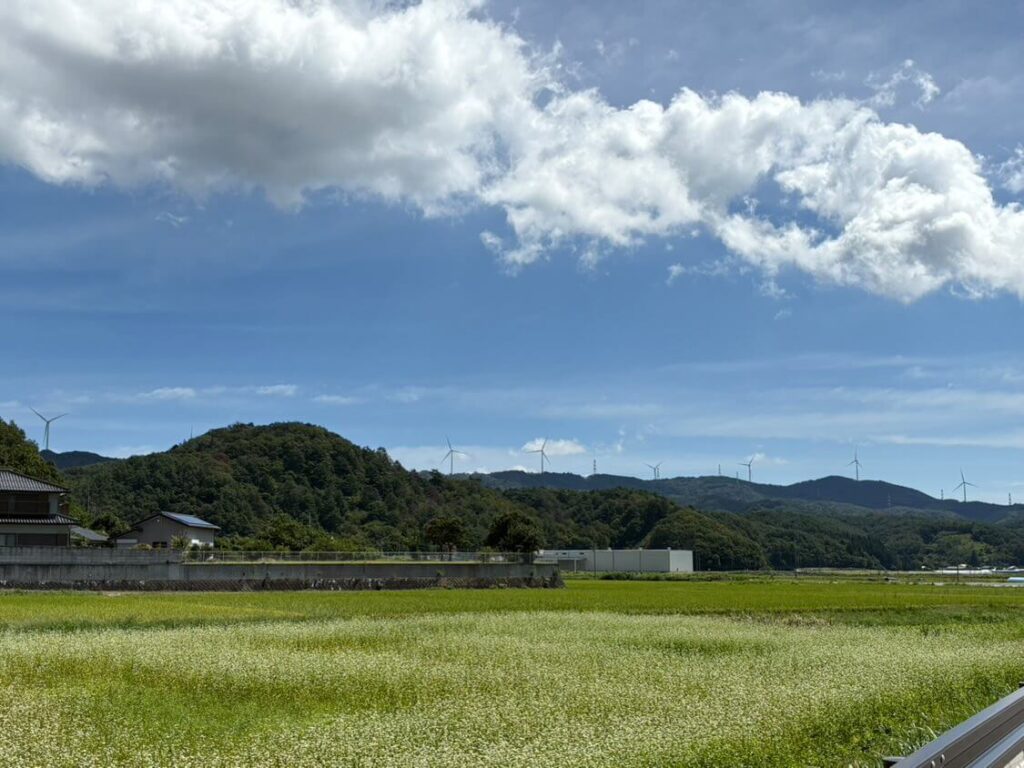 かわうち⻤太郎⼭⾵⼒発電所の風車群