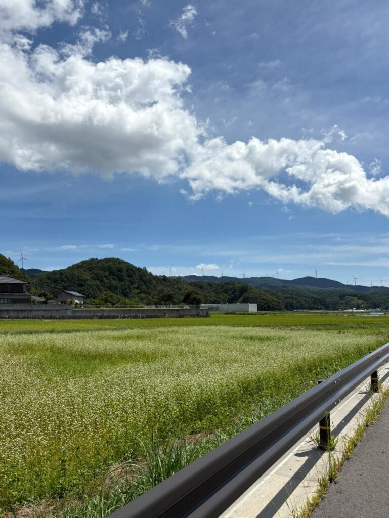 かわうち⻤太郎⼭⾵⼒発電所の風車群
