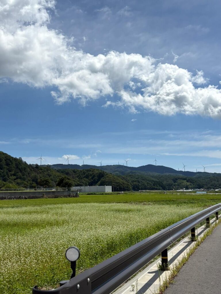 かわうち⻤太郎⼭⾵⼒発電所の風車群